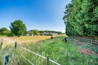 Grond te koop in Ouffet