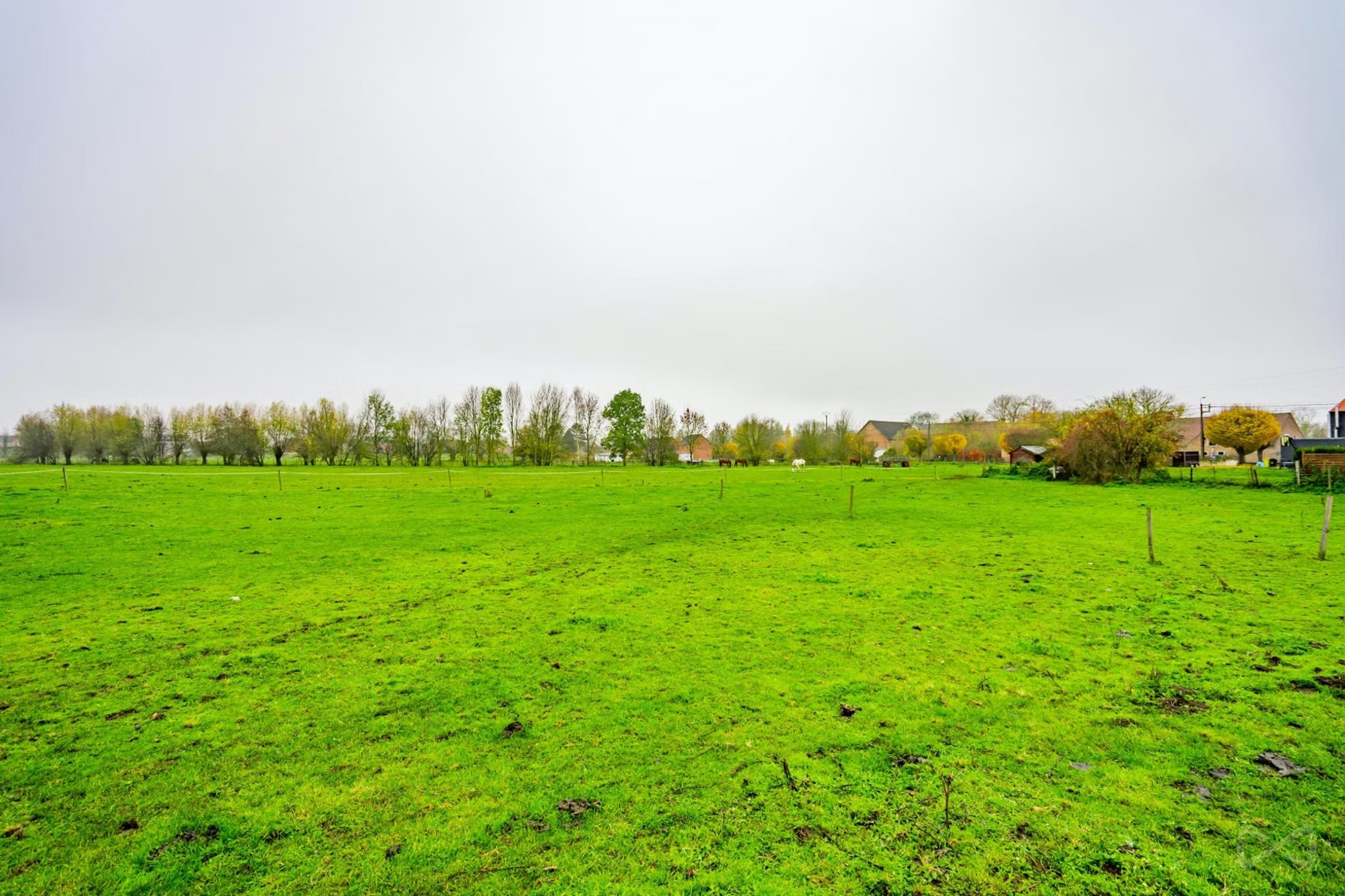 Terrain à vendre à Wasseiges - photo 4