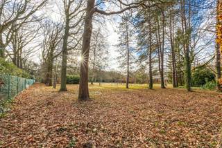 <p>Deze ruime bouwgrond van 3.010 m² is gelegen aan de Horstebaan 114 in Schoten, op de grens met Brasschaat. Met een straatbreedte van circa 30 meter biedt het perceel mooie mogelijkheden voor de bouw van een royale vrijstaande villa. Achteraan bevindt zich circa 600 m² natuurlijk bos, wat zorgt voor een groene afsluiting van het perceel.<span></span></p>
<p>De ligging is centraal en praktisch, met een vlotte verbinding naar Schoten, Brasschaat en de belangrijkste invalswegen.</p>
<p><strong>Bijzonderheden</strong></p>
<ul>
<li>Perceeloppervlakte van 3.010 m²</li>
<li>Straatbreedte van circa 30 meter</li>
<li>Circa 600 m² natuurlijk bos achteraan</li>
<li>Centrale ligging nabij belangrijke invalswegen</li>
<li>Geschikt voor een vrijstaande villa</li>
<li>Noordgerichte tuin</li>
</ul>
<p><strong>Bestemming</strong></p>
<ul>
<li>Minstens 51% van het bouwvolume moet bestemd zijn voor wonen</li>
<li>Een complementaire nevenfunctie is toegestaan, zoals:
<ul>
<li>maatschappelijke zetel</li>
<li>vrij beroep</li>
<li>activiteit als onthaalouder</li>
</ul>
</li>
<li>De woonfunctie blijft steeds de hoofdfunctie</li>
<li>Maximale vloeroppervlakte van de nevenfunctie: 200 m²</li>
<li>Winkels, ambachtelijke bedrijven en nijverheid zijn niet toegestaan</li>
</ul>
<p><strong>Belangrijkste bouwvoorschriften</strong></p>
<ul>
<li>Open bebouwing</li>
<li>Afstand tot de perceelgrenzen: minimaal 5 meter</li>
<li>Rechter zijgevel: minimaal 12 meter afstand vanwege de oprit met bestaande bomenrij</li>
<li>Maximale voorgevelbreedte: 13 meter</li>
<li>Maximale bouwdiepte: 25 meter</li>
<li>Maximale nokhoogte: 11 meter</li>
<li>Maximale bebouwde oppervlakte:
<ul>
<li>10% van de perceeloppervlakte</li>
<li>maximaal 400 m², inclusief bijgebouwen</li>
</ul>
</li>
</ul>
<p>Een interessante bouwopportuniteit voor wie op zoek is naar veel ruimte, een centrale ligging en de mogelijkheid om wonen te combineren met een professionele activiteit aan huis.</p>