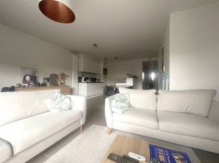 Appartement à louer à Termonde
