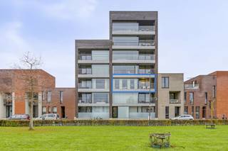 De gepubliceerde prijs is een instelprijs. Bieden kan via dewaele.com vanaf 14/12 tot 17/12.Ontdek dit stijlvol en goed...