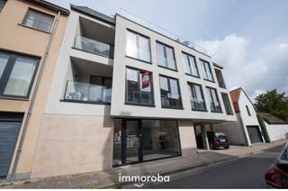 Commercial for rent in Waregem