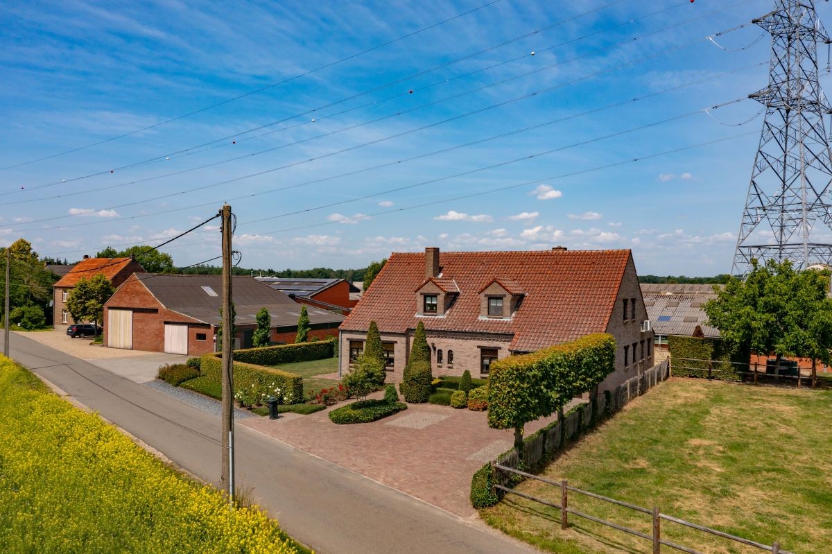 Hoeve met gronden te koop te Kinrooi - foto 5