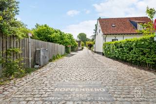 Uniek gelegen bouwgrond (af te breken woning - heropbouw aan 6% BTW mogelijk!) van 4000m2, aan de voet van de Koppenberg. Prachtige zichten rondom. Deze bouwgrond is een unieke kans voor wie op zoek is naar rust, natuur, en prachtige zichten, en dit aan de voet van de Koppenberg. Enorm veel potentieel, op een TOPLOCATIE. Mogelijkheid tot verkavelen (mits akkoord stedenbouw).
