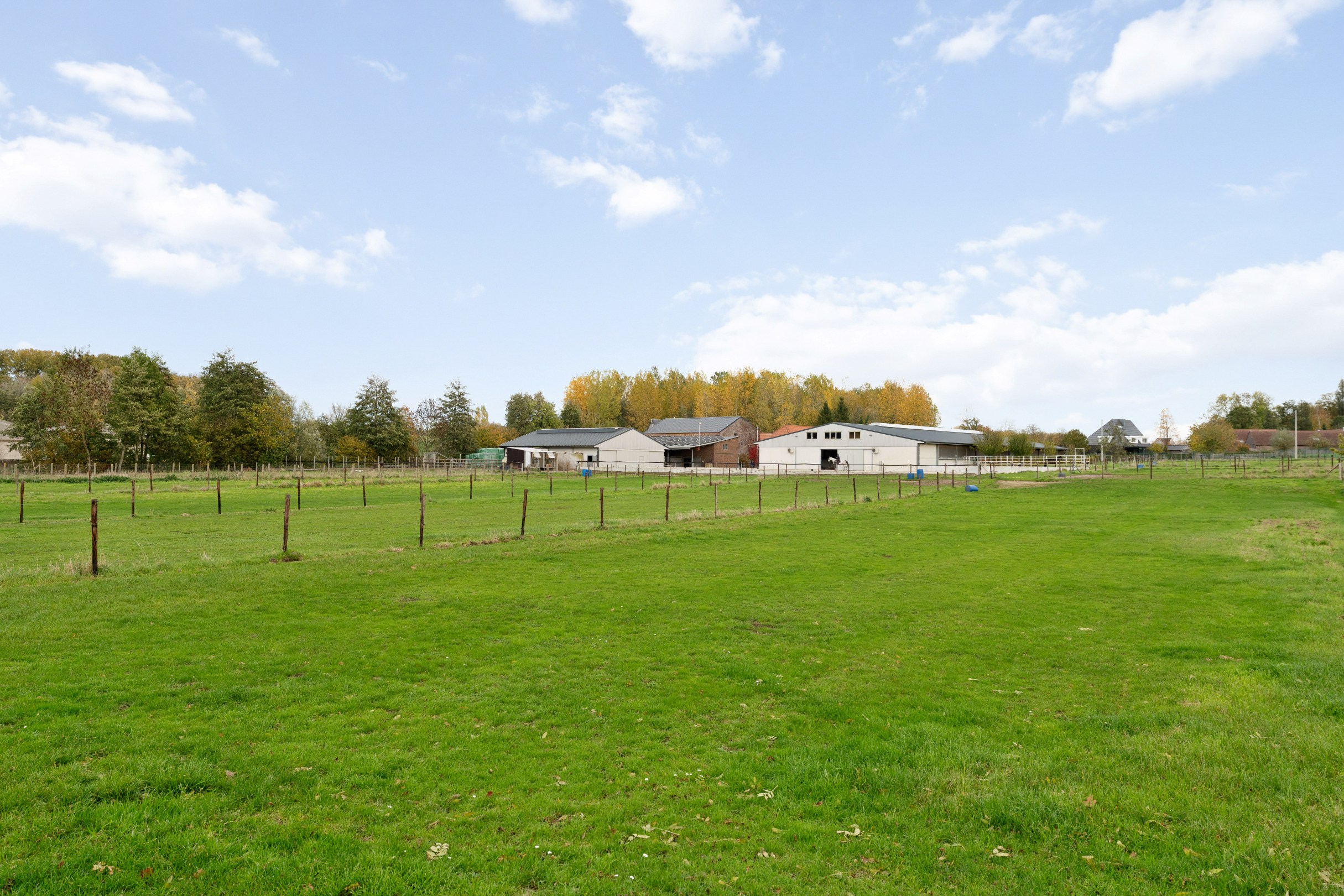 Hippische accommodatie te Dilbeek op 6ha - foto 2