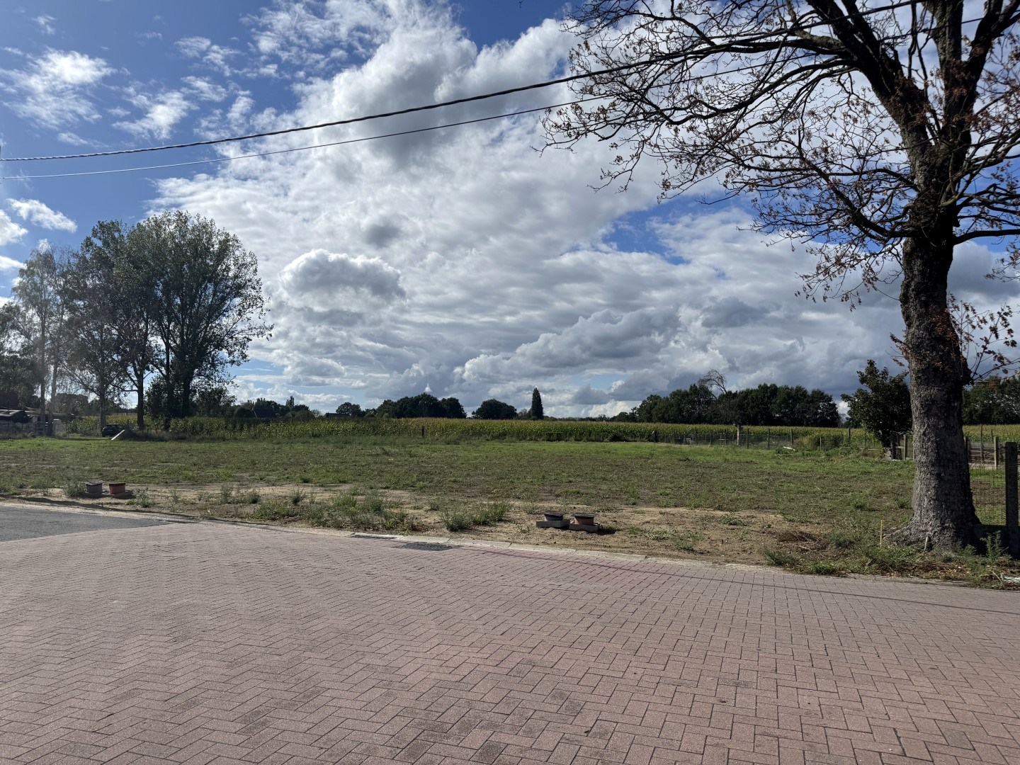 Grond te koop in Poppel - foto 4