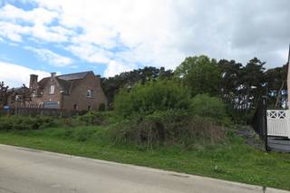 Terrain à vendre à Meerhout