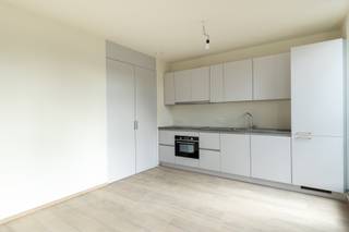 Apartment for rent in Antwerp