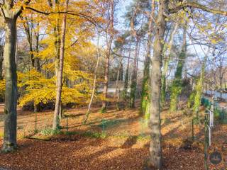 Langs de Sint-Jobsesteenweg in Brasschaat, in een omgeving die gekenmerkt wordt door statige villawijken, volwassen groen en residentiële...