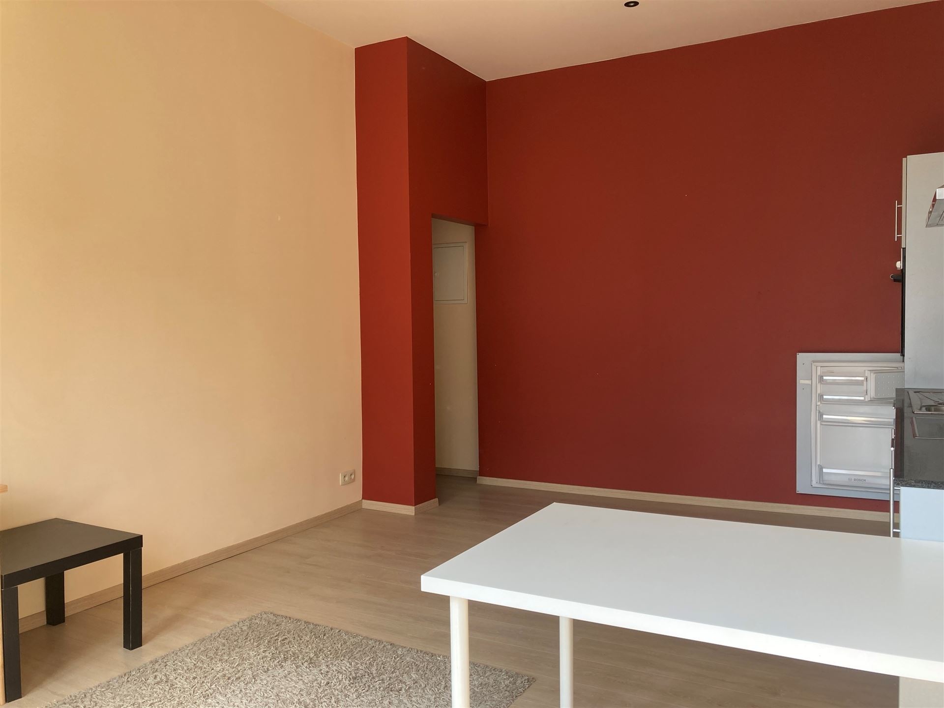 Lichtrijk 1SK Appartement  - Dailly/Europese Wik  - foto 5