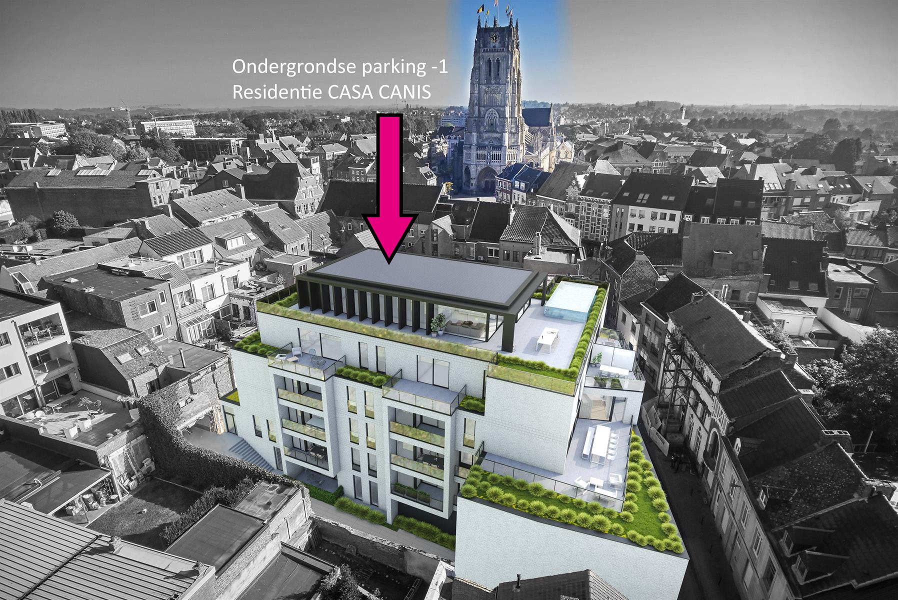 Projet à vendre à Tongres - photo 1