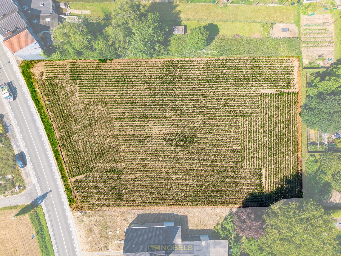 Te koop, residentieel gelegen projectgrond (3.602m² - straatbreedte van 50m) te Oudenaarde - photo 2