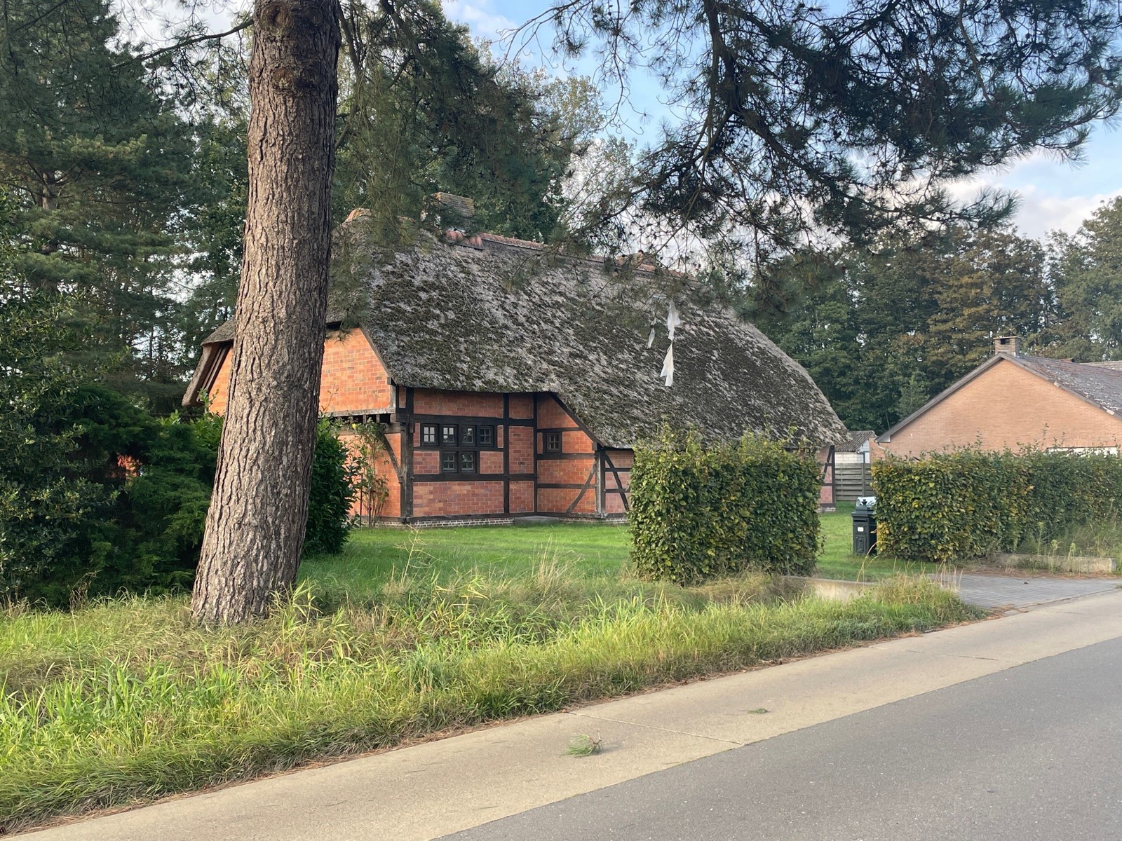 Af te werken woonst op 1588m² (+ perceel 8592m²) - foto 2