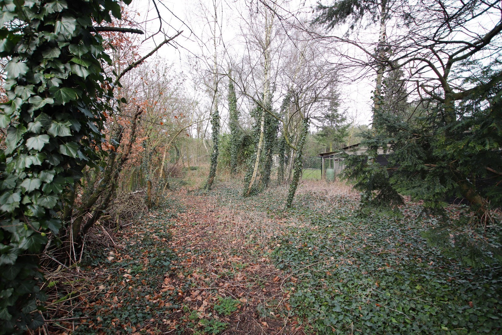 Terrain à vendre à Mol - photo 4