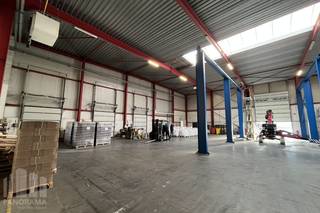 Vlot bereikbare logistieke ruimte van <strong>6.561 m²</strong> op amper +/- 1 km van de N16 met een vlotte verbinding naar zowel de A12 en de E17.<br />Het magazijn met een vrije hoogte van maar liefst 8,04 m is voorzien van<strong> laadkades </strong>met docklevellers, een sectionale poort (4m B x 4,5m H) en een centrale lichtstraat. Verder is de opslagruimte (50KN/m² vloerbelasting) uitgerust met een geïsoleerde steeldeck, polybetonvloer, TL-armaturen en aerothermen op gas.<br /><br />Ruime parkeer- en manoeuvreerruimte op de verharde site.<br /><br />Contacteer <strong>PANORAMA B2B</strong> voor bijkomende inlichtingen, plannen of een vrijblijvend plaatsbezoek<strong> 03 225 03 03</strong>.