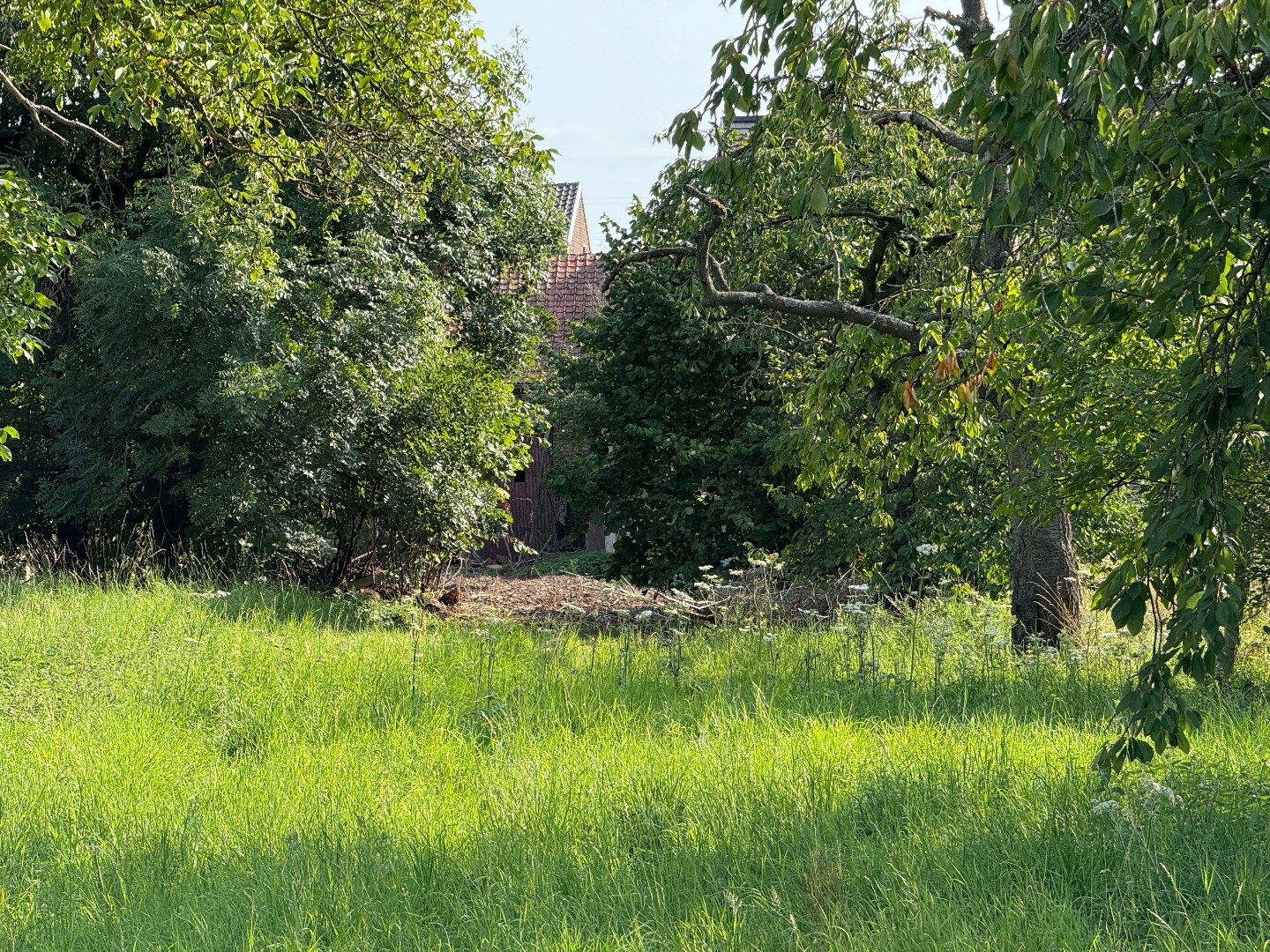 Maison à rénover avec grange et jardin - photo 4