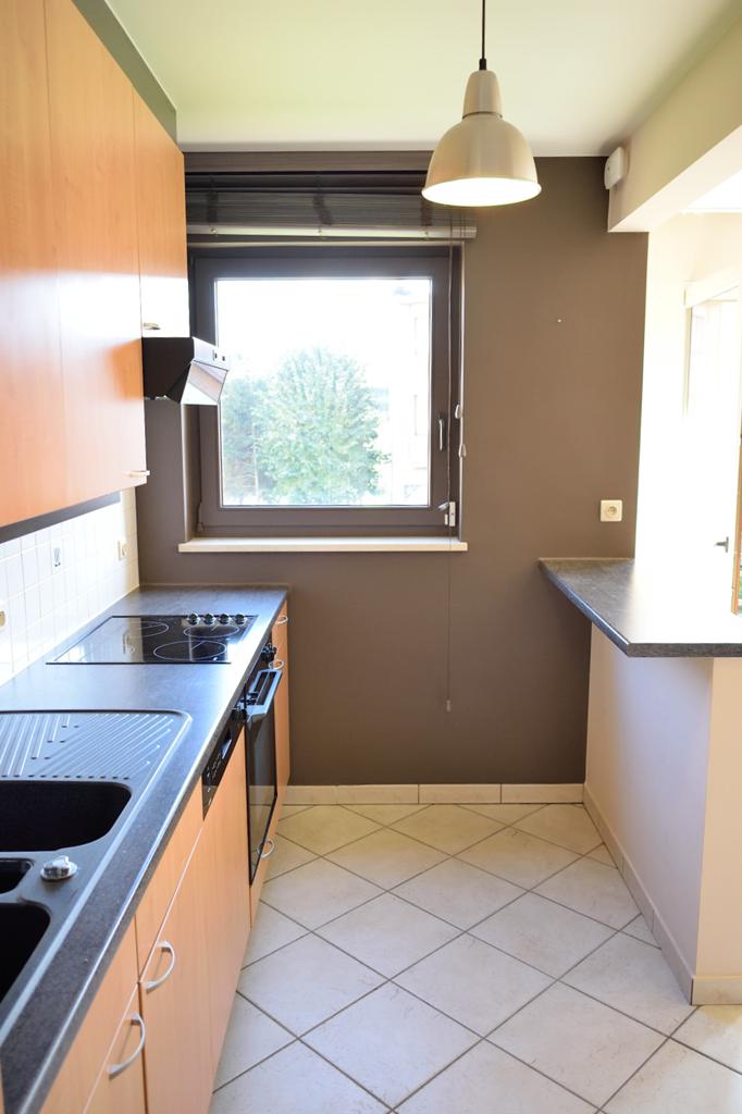 Apartment for rent in Berchem-Sainte-Agathe with 1 bedroom - photo 5