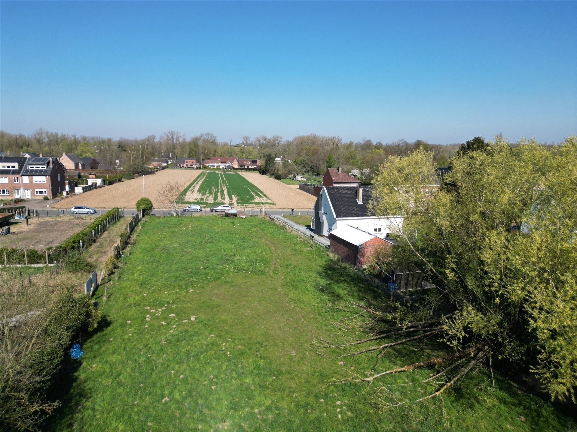 Bouwgrond voor halfopen bebouwing (lot 2) - 971 m² - foto 5