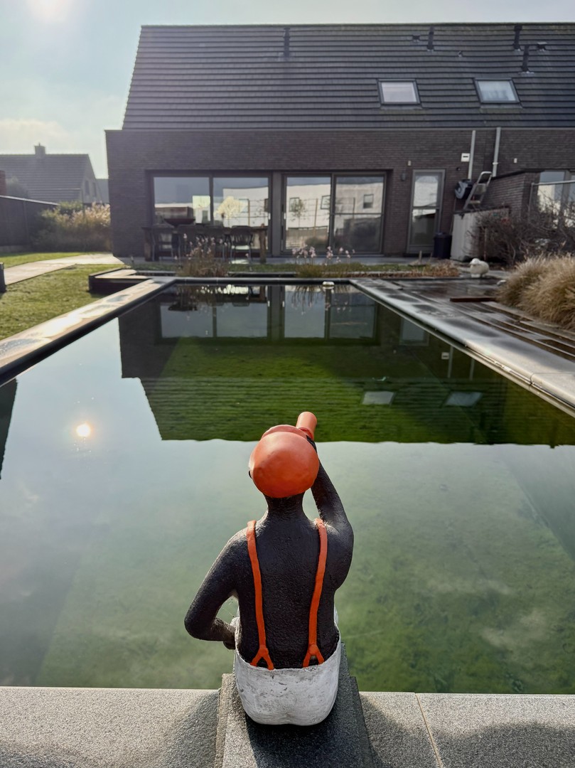 Zeer ruime instapklare én energiezuinige woning met zwemvijver vlak bij yachthaven. - foto 1