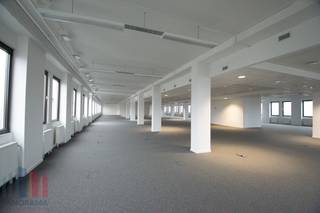 Strategisch gelegen kantoorruimte te huur van 800 m², met een top verbinding vlakbij de <strong>Brusselse Ring</strong> en de <strong>E19</strong>. Dankzij deze ligging is het centrum van Brussel vlot bereikbaar. Ook het <strong>openbaar vervoer </strong>uitstekend bereikbaar: station Brussel-Zuid op slechts 5 minuten afstand en een bushalte aan de ingang van het business park.<br /><br />De kantoren maken deel uit van het <strong>Paepsem Business Park</strong>, een kwalitatieve kantorensite bestaande uit 6 bedrijfsgebouwen. Het aanbod omvat zowel klassieke kantoorruimtes als kantoren gecombineerd met magazijnruimte, waardoor diverse invullingen mogelijk zijn. De gebouwen bevinden zich in een groene omgeving en zijn uitgerust met alle <strong>basisvoorzieningen</strong>, waaronder airconditioning, LED-verlichting en zonnewering. Tevens beschikt de site over een zeer <strong>gunstige parkeerratio</strong>.<br /><br />De flexibele ruimtes kunnen volledig <strong>aangepast en ingericht worden volgens uw wensen</strong> en noden. Waar mogelijk kan bovendien ruimte op maat worden gecreëerd. <br /><br />Contacteer <strong>PANORAMA B2B</strong> voor bijkomende inlichtingen, plannen of een vrijblijvend plaatsbezoek <strong>0477 09 00 09</strong>.