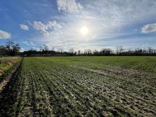 Op het einde van de Eektstraat te Wezemaal, Rotselaar bevindt zich deze 1,27 ha landbouwgrond.Bestemming van de grond volgens gewestplan : agrarische...