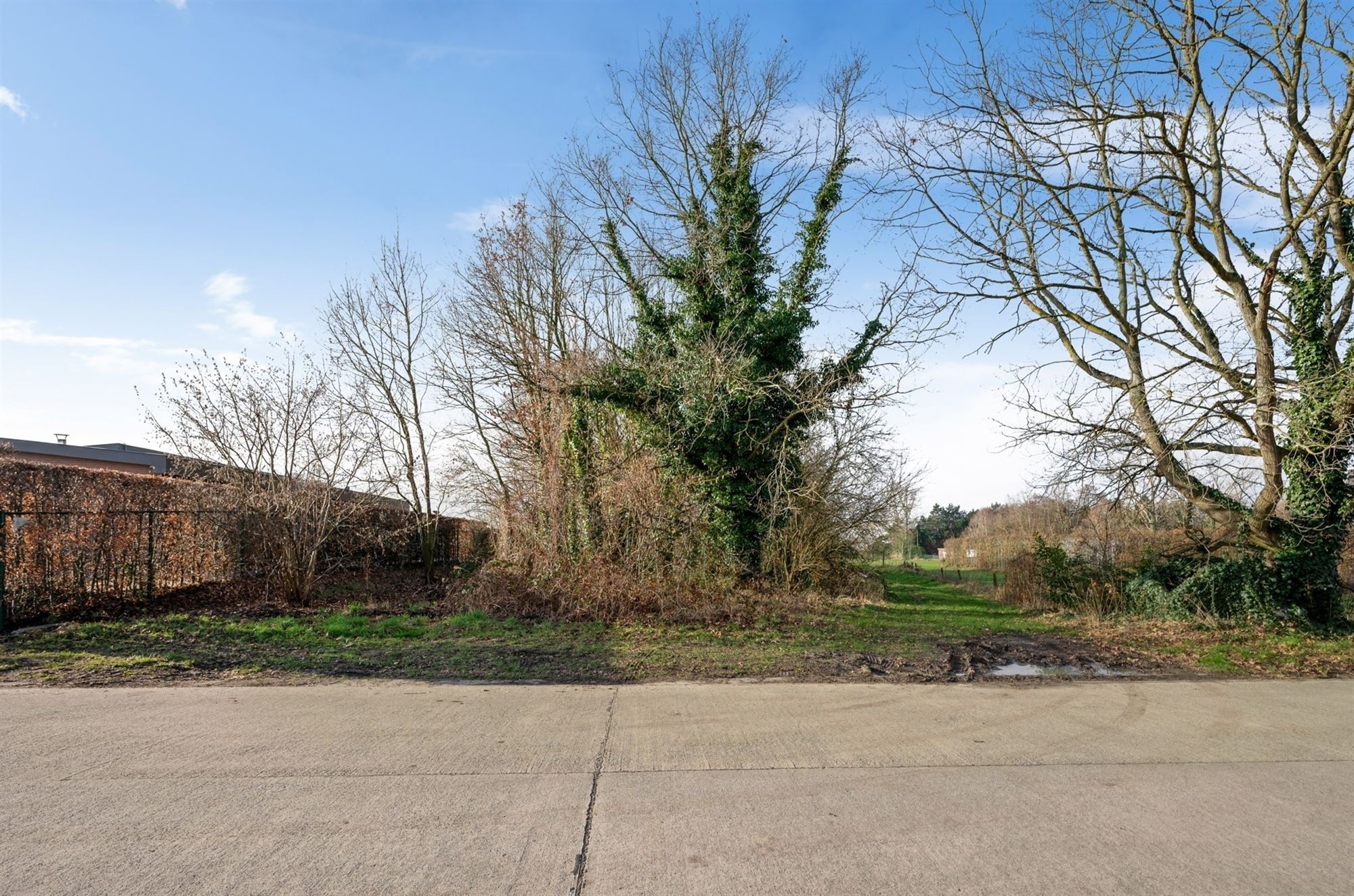 Land for sale in Putte - photo 2