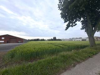 Goed toegankelijk en ruim perceel landbouwgrond op korte afstand van de Haachtsesteenweg. Het perceel heeft een oppervlakte van 1ha en zal pachtvrij zijn na akte. Gvg, Lwag, Gmo, Vkr, Gvv. P-score: A. <br /><br />WETTELIJKE VERPLICHTE VERMELDINGEN:<br />Vergunningen: nee<br />Bestemming: landschappelijk waardevol agrarisch gebied<br />Geen rechterlijke herstelmaatregel of bestuurlijke maatregel opgelegd.<br />Voorkooprecht: ja (de Vlaamse Waterweg nv)<br />Verkaveling: nee<br />P-score: A<br />Het perceel maakt deel uit van de wetenschappelijke inventaris "Floordambos en kasteel de Ribaucourt" als landschappelijk geheel - geen rechtsgevolgen.