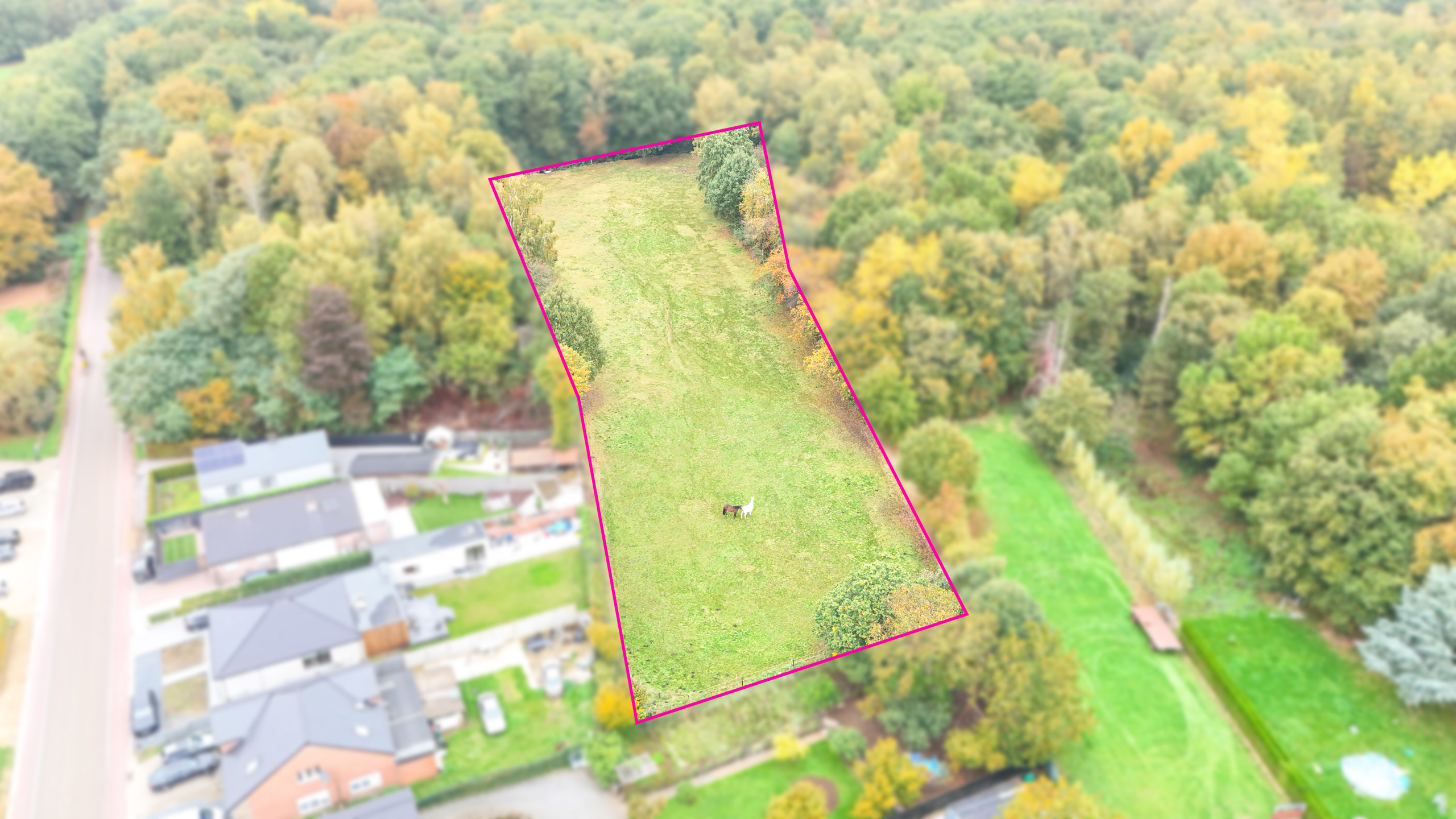 Land for sale in Heusden-Zolder - photo 1