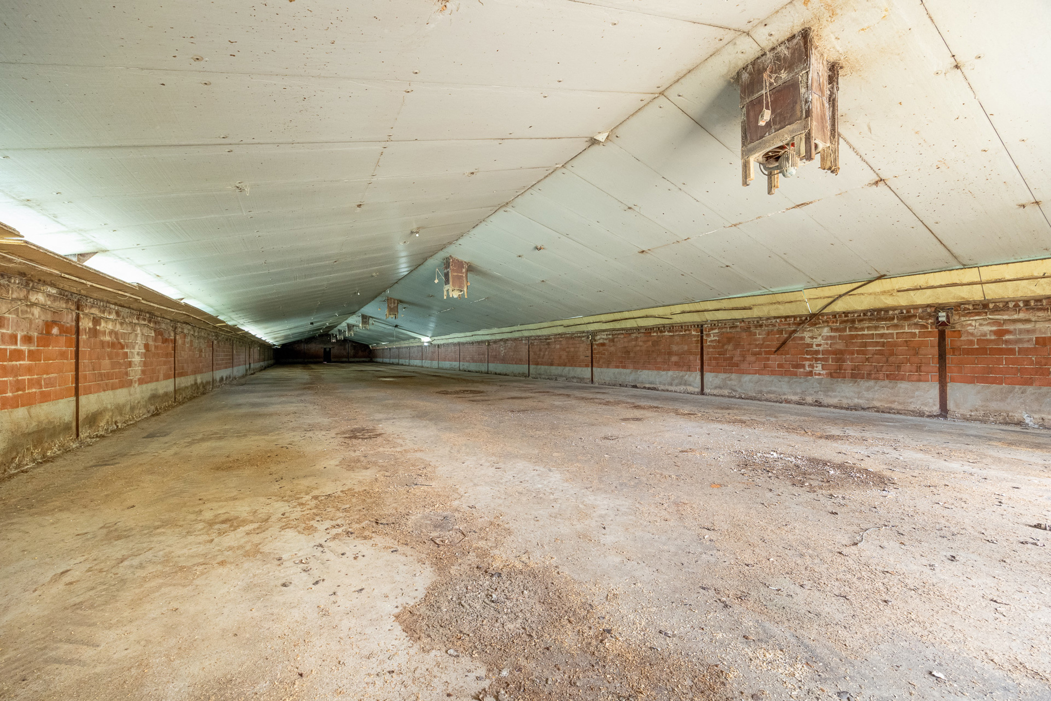 Landhuis met stallingen te koop op 1,2 hectare - foto 4