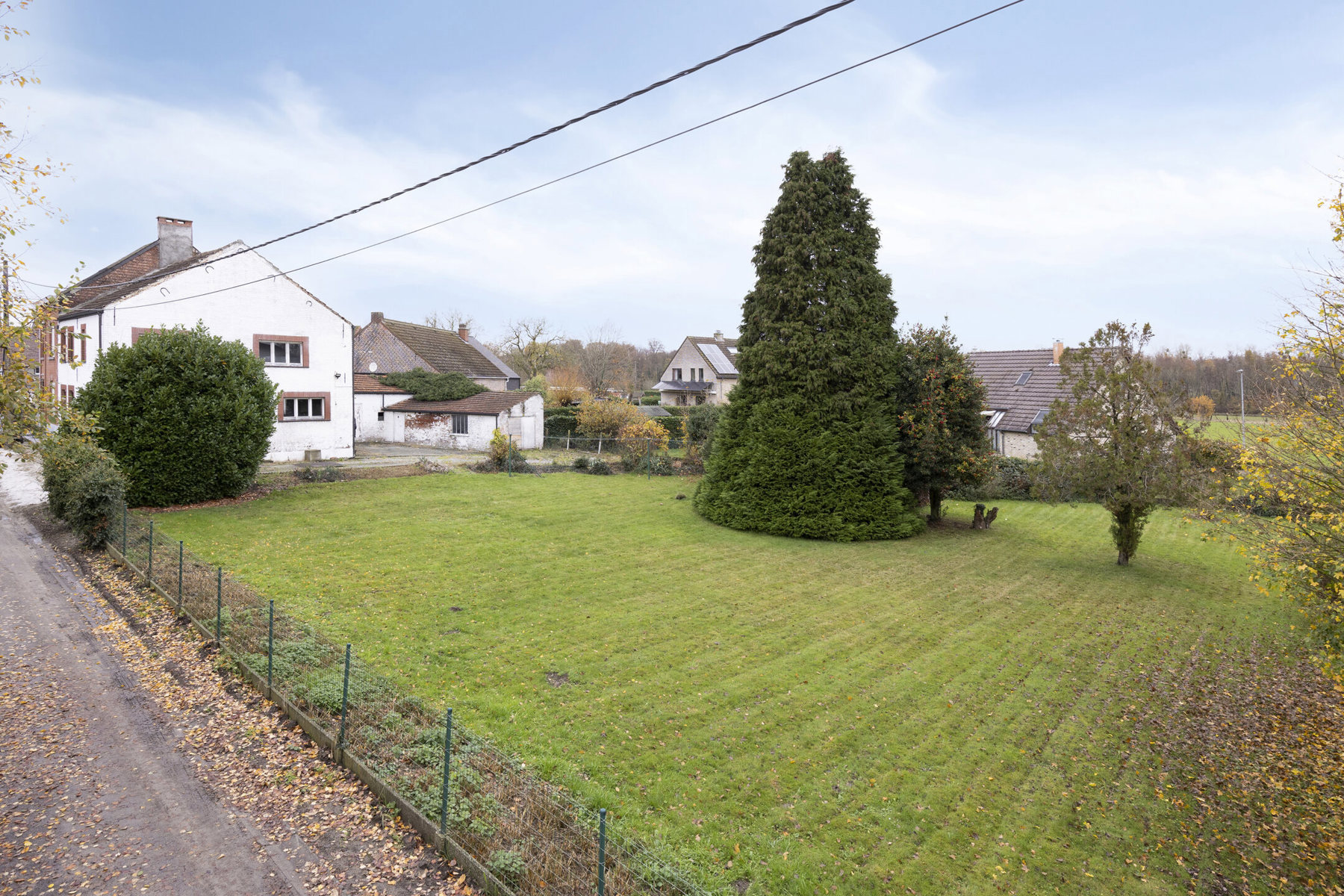Grond te koop in Bierbeek - foto 4