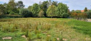 Terrain à vendre à Hoegaarden