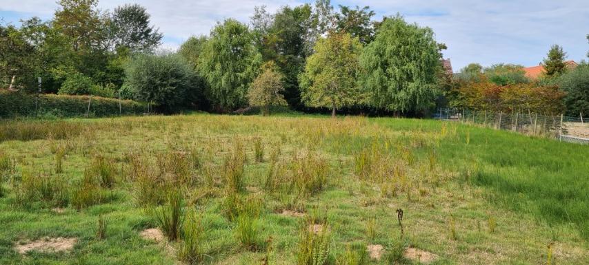 Terrain à vendre à Hoegaarden - photo 3
