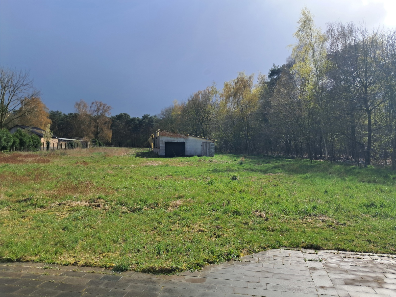 Maison à vendre à Meerhout avec 5 chambres - photo 5