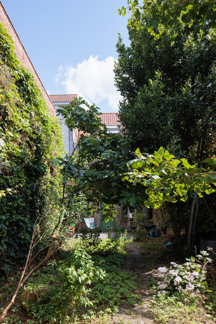 Ruime charmante burgerwoning met tuin nabij St-Pieters Station - foto 4