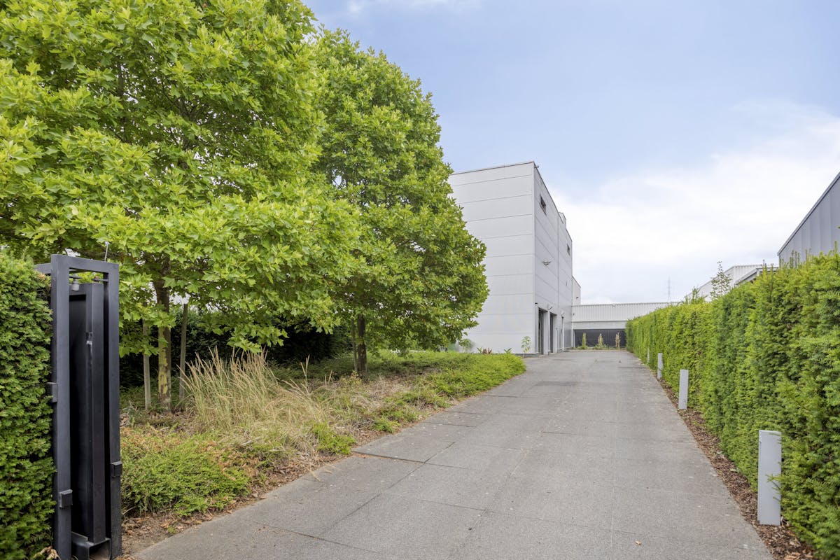 Patrimoniumvennootschap met drie bedrijfshallen en penthouse - foto 2