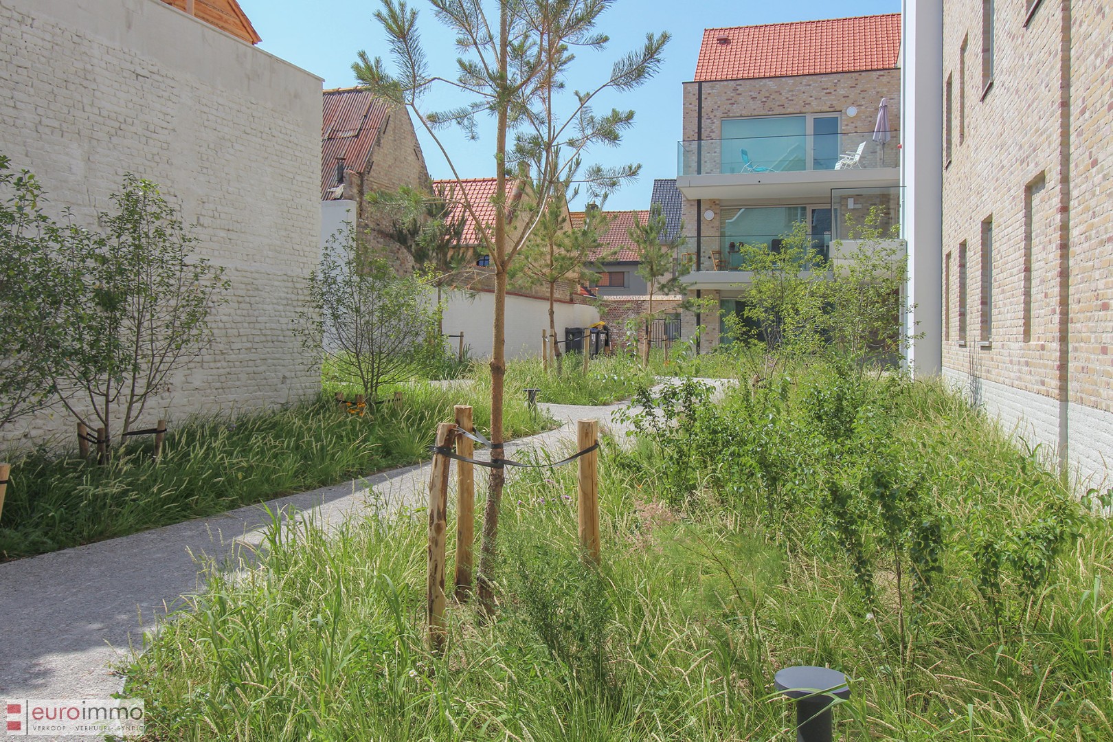 Apartment for rent in Nieuwpoort with 1 bedroom - photo 5