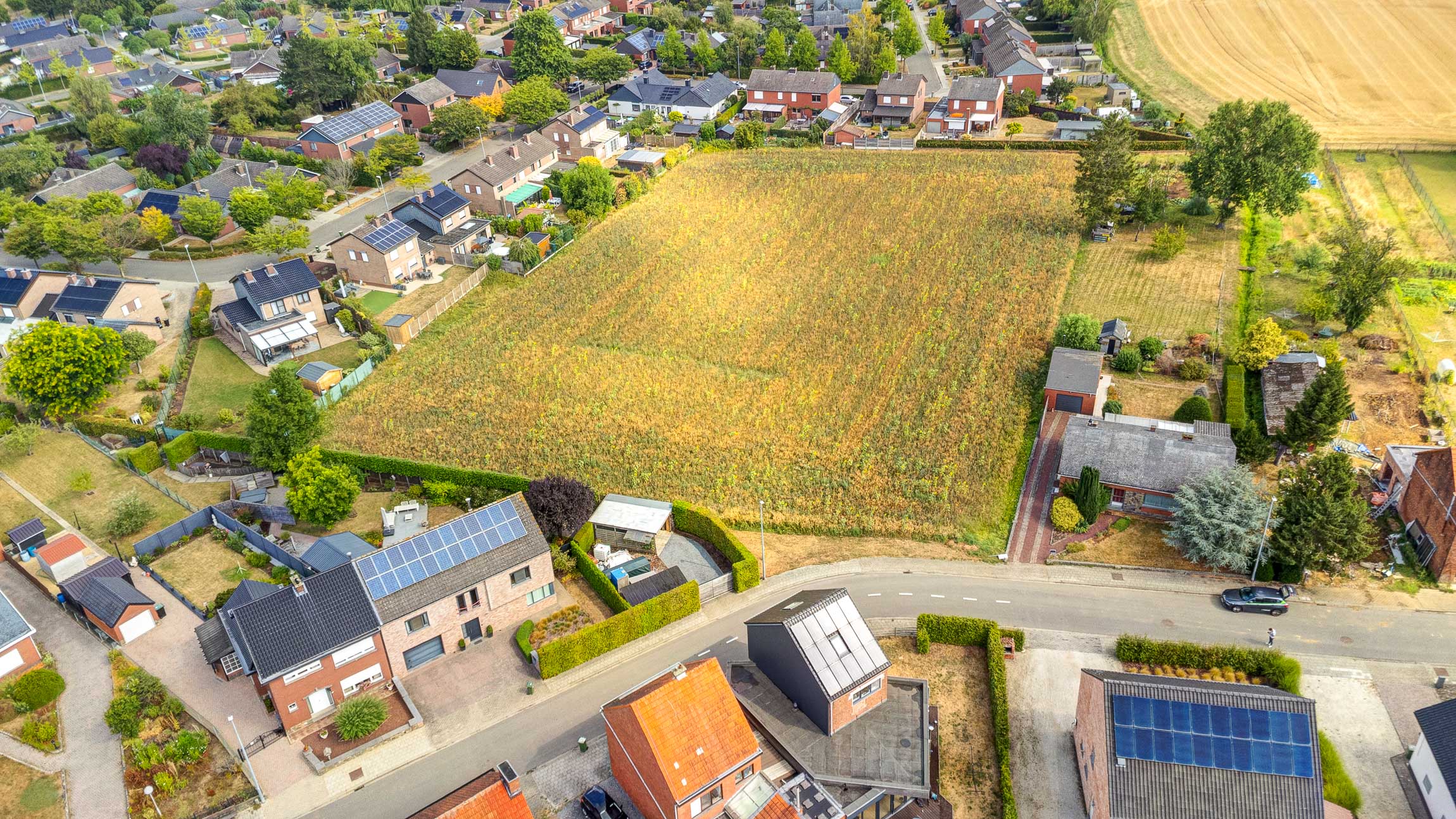 Rustig gelegen, grote bouwgrond te Wilsele - foto 4