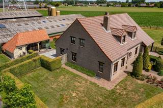 Hoeve te koop te Kinrooi met aanpalende gronden.Ideaal voor landbouwer in bijberoep, mooie loodsen, up to date varkensstal.Mogelijkheid voor planten-...