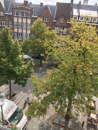 Het appartement is gelegen op de 1e verdieping van het gebouw op een super locatie in Antwerpen centrum.Je komt binnen in de inkomhal van het...