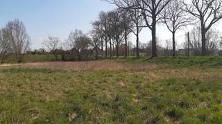 À la recherche d'un terrain de projet idéalement situé ? Ce terrain de projet de 3680 m² à Lessines est l'investissement parfait pour un...