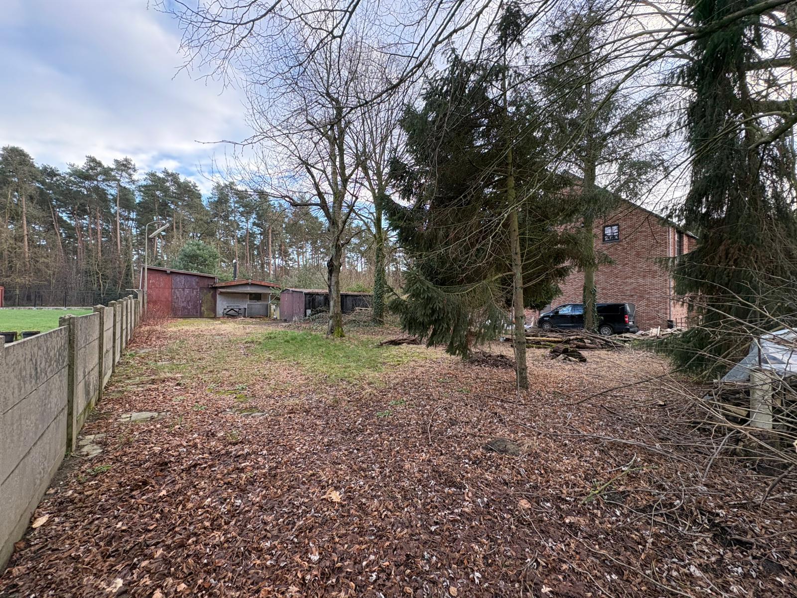 Land for sale in Tessenderlo-Ham - photo 5