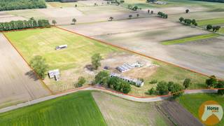 BOCHOLT - Weide met stalgebouwen op +/- 4ha35aDeze weides zijn zeer rustig gelegen langs de Stramproyerweg in Bocholt, nabij de Nederlandse grens.Op...
