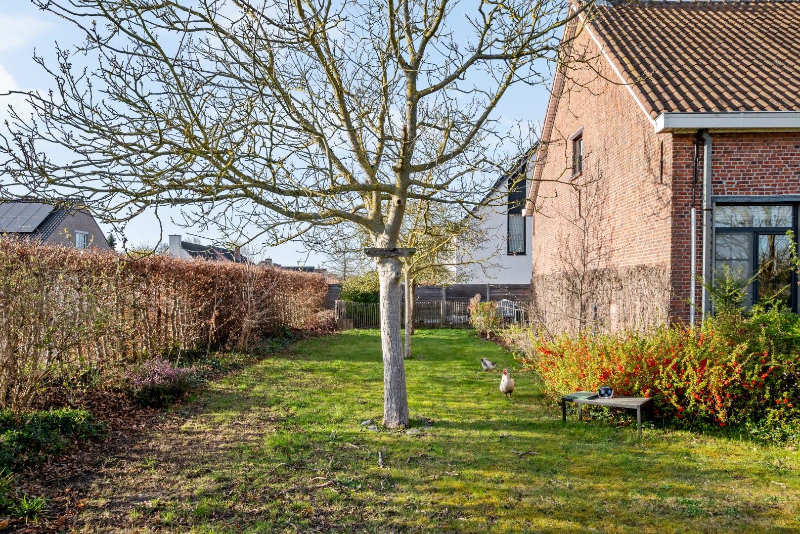 Charmante open bebouwing op een groen perceel van 1.350 m² - foto 4
