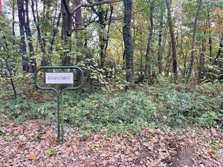 In het hart van het prachtige Zoerselbos ligt deze bosgrond van 6.000 m², een oase van rust en natuur. Omringd door statige eiken en beuken vormt...