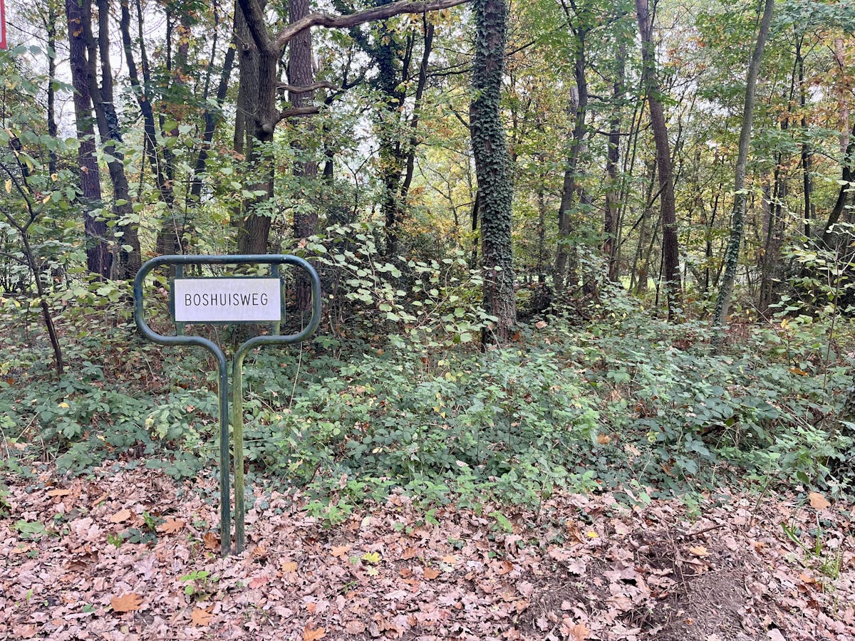 Perceel bosgrond te koop in Zoerselbos - foto 3