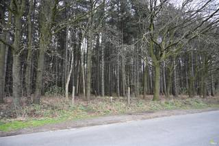 Deze mooie bosgrond is gelegen tussen de Gebroeders Naudslaan en de Wachtbekestraat te Wachtebeke. Voor meer info bel ons op 03-449 42 41 of mail ons...