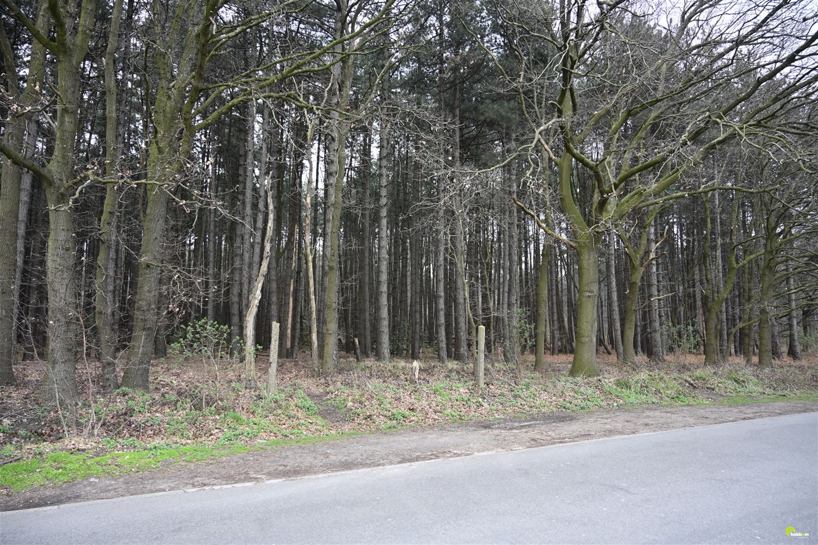 Mooie bosgrond met loofbomen te Wachtebeke! - foto 2