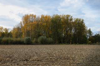 Land for sale in Oosterzele