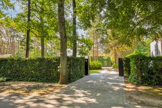 Gelegen in een rustige woonwijk in een landelijke en groene omgeving. De woning Heidedreef 8B is een halfopen bebouwing.<br /><br />INDELING ONDERGRONDS<br />Ruime kelder (33 m²) waarin het CV toestel en de waterontharder geplaatst werden.<br />Verder is er fundering van 1,20m diep.<br /><br />INDELING GELIJKVLOERS<br />Inkomhal / trapzaal met apart toilet.<br />Bureel of slaapkamer.<br />Leefruimte met inbouwcassette op hout. Deze cassette werd mooi omgeven door een schouwmantel in kalksteen en daarrond nog een TV meubel / wandkast in hout.<br />Volledig ingerichte keuken (eik) met aangrenzend aan de ene zijde een berging en veranda aan andere zijde.<br /><br />1E VERDIEPING<br />3 slaapkamers (23 - 16,2 - 9 m²) op parket en waarvan de master met ingerichte dressing.<br />Badkamer met douchekabine, hangtoilet en lavabo.<br />Badkamer met ligbad, douchekabine, hangtoilet en dubbele lavabo.<br /><br />2E VERDIEPING<br />Deze werd (nog) niet ingericht. Wel te bereiken via vaste trap en reeds voorzien van daglicht (ramen).<br /><br />PERCEEL / TUIN<br />Dieper op het perceel werd er nog een vrijstaand gebouw gezet. Hierin vinden we een dubbele garage terug met nog extra tuinberging (41,4 m²). Verder ook nog overdekte carport (18,5 m²) en een atelier / werkplaats (15,6 m²).<br />Ruime voortuin met oprijlaan tot aan de woning. Vooraan afgesloten met draadafsluiting en haag alsook voorzien van automatisch te bedienen poort.<br />Grote achtertuin met helemaal vanachter nog een (zwem) vijver.<br /><br /><br />BIJZONDERHEDEN<br />Verwarming: CV op gas (deels radiatoren, deels convectoren in put). Condenserende ketel Vaillant.<br />Houten ramen met dubbele beglazing en automatisch te bedienen rolluiken.<br />Stedenbouwkundige inlichtingen: in aanvraag.<br />255 m² oppervlakte volgens EPC.<br /><br /><br />POSITIEVE ASPECTEN<br />Heel verzorgde woning.<br />Praktische inrichting.<br />Super mooi perceel met volwassen groenaanleg.