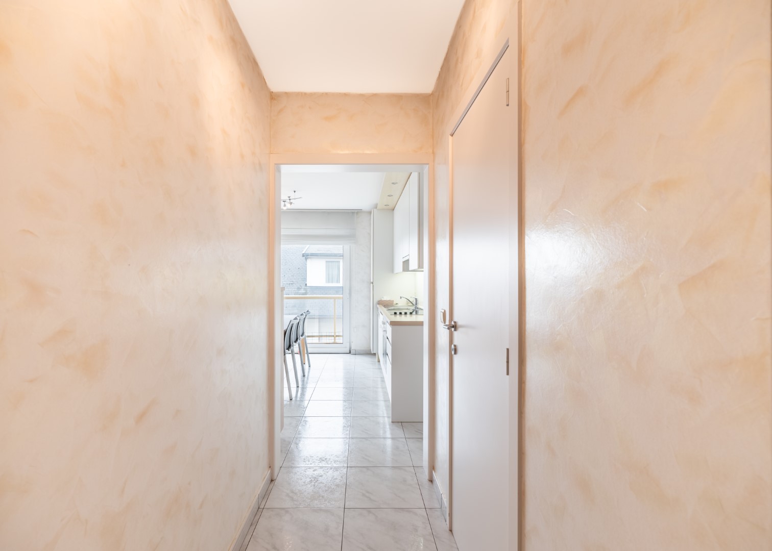 Campanula - 01.02 - photo 4